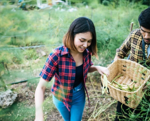SUSTAINABLE LIVING